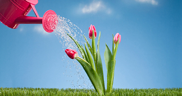 עצות לחיסכון במים